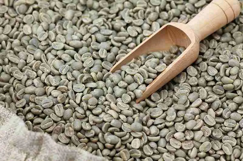 México decaf (Espresso/Moka)